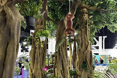 Kanada One Tree Forest Case