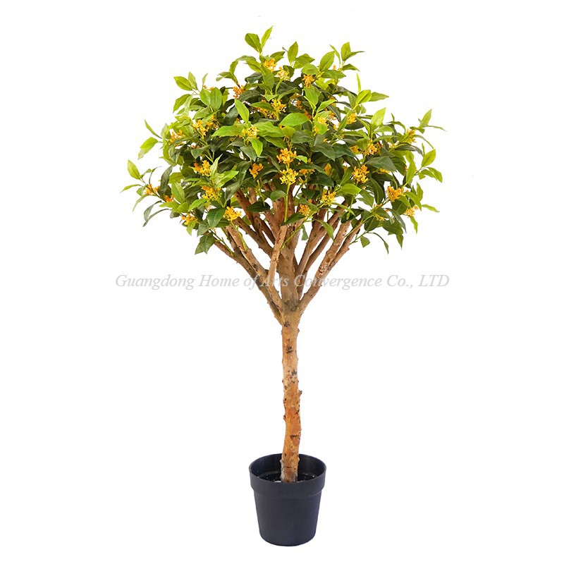 product-800-800 product-800-800