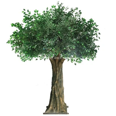 Suur faux ficus puu