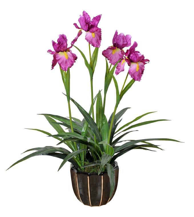 Kunstlik Cattleya orhidee taim