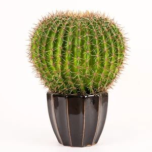 Kunstlik kaktusepall