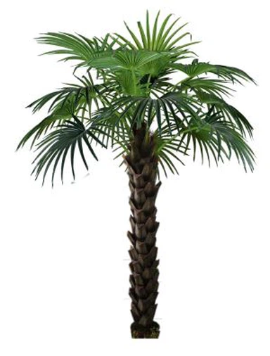 Kunstlik Livistona puu