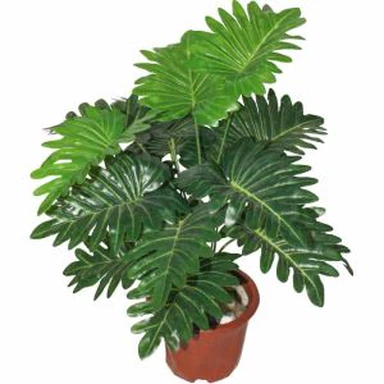 Kunstlik Philodendron Potted taimed