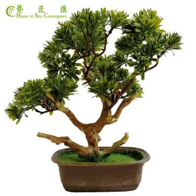 Võluv kunstlik mänd bonsai puu